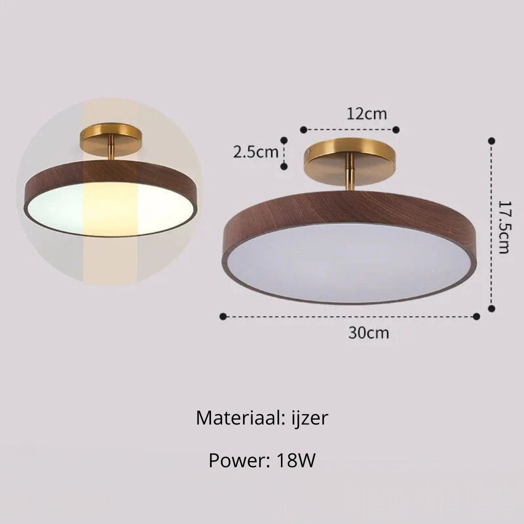 Low-Profile Circular Ceiling Light – 24W Integrated LED Luminaire