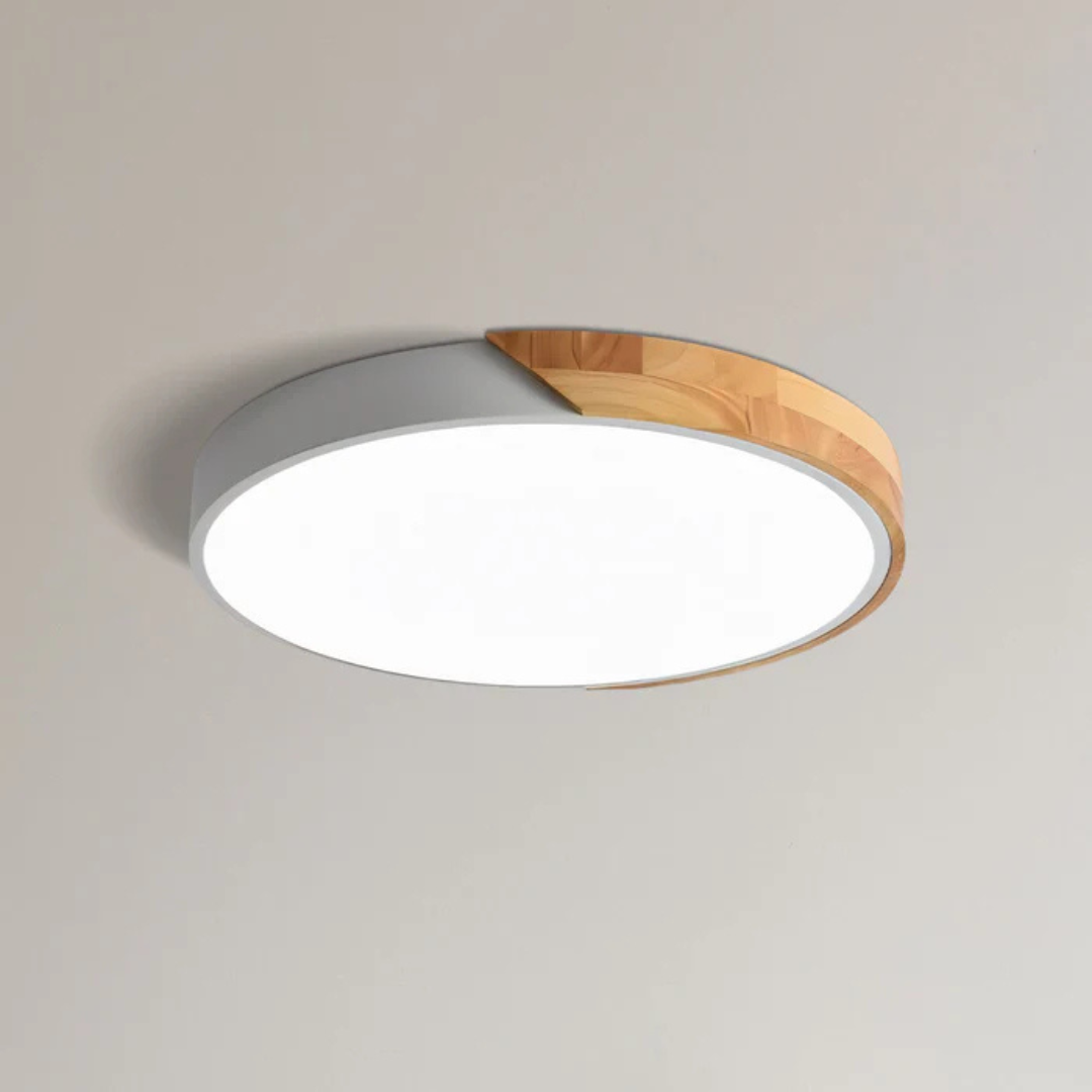 Modern Scandinavian Flush Mount Lamp