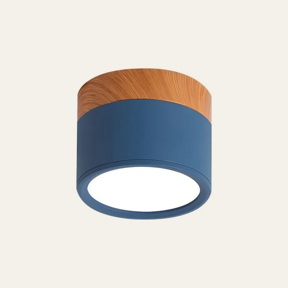 Small Cylinder Flush Mount Ceiling Light