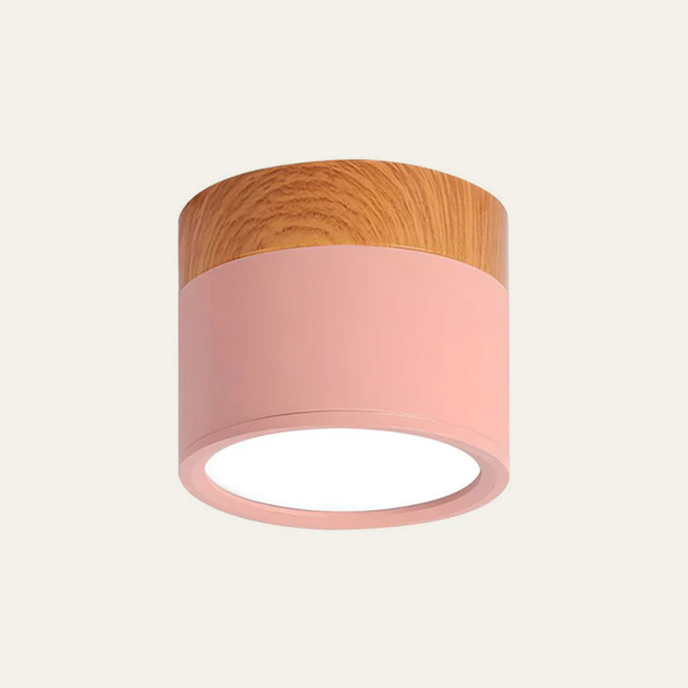 Small Cylinder Flush Mount Ceiling Light