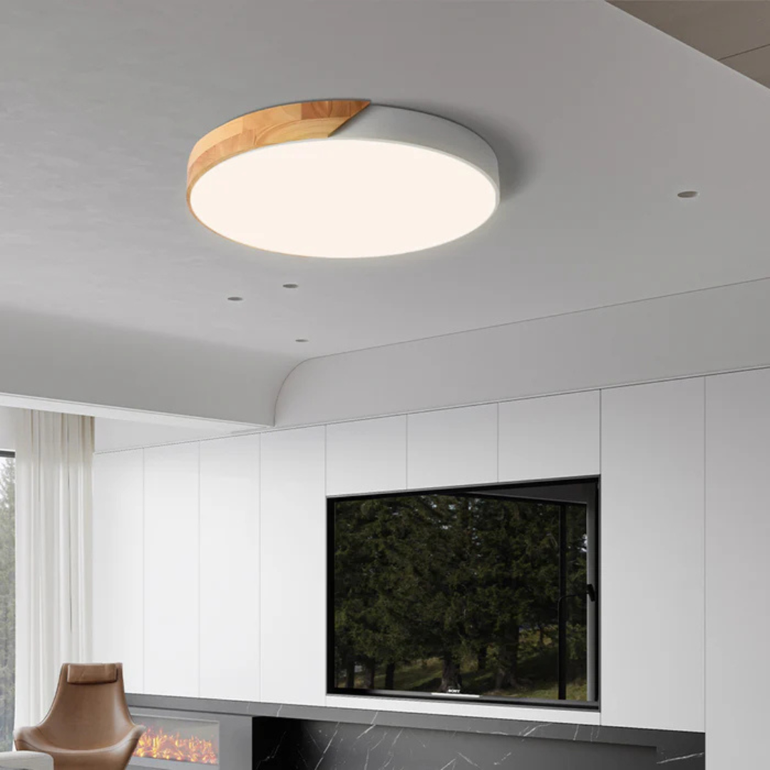 Modern Scandinavian Flush Mount Lamp