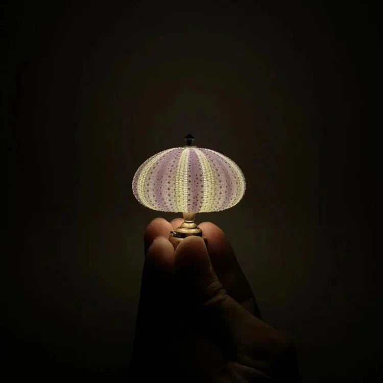 Sea Urchin Night Light