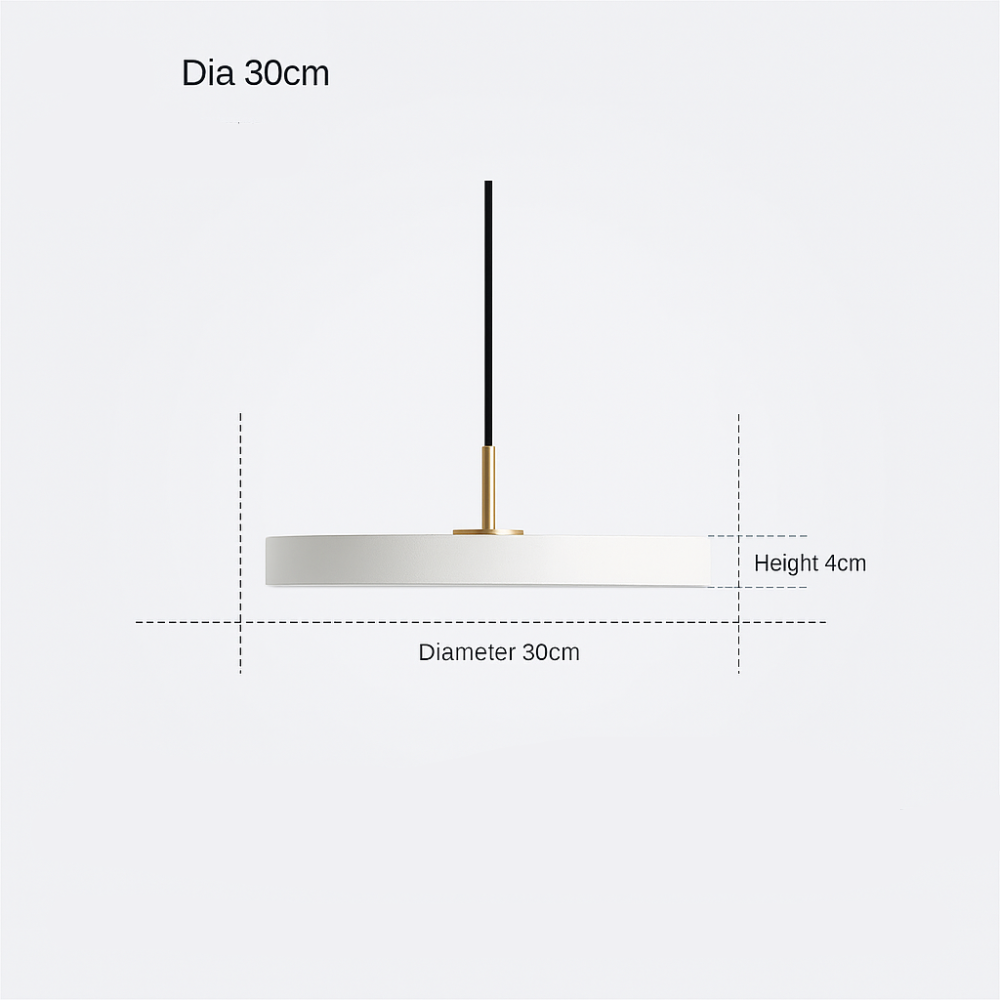 Round LED Pendant Light Modern Minimalist