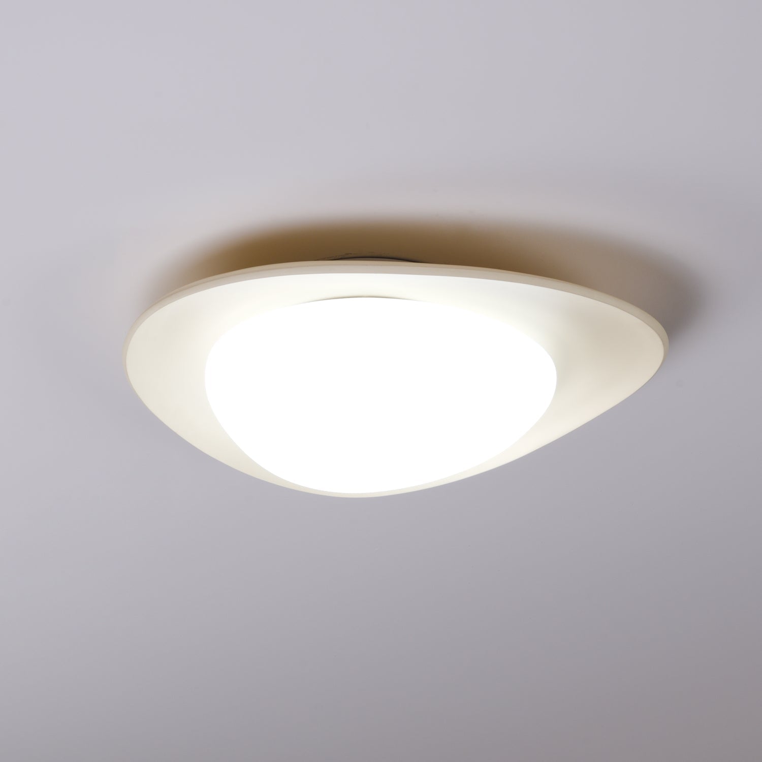 Leaf Ceiling Lamp