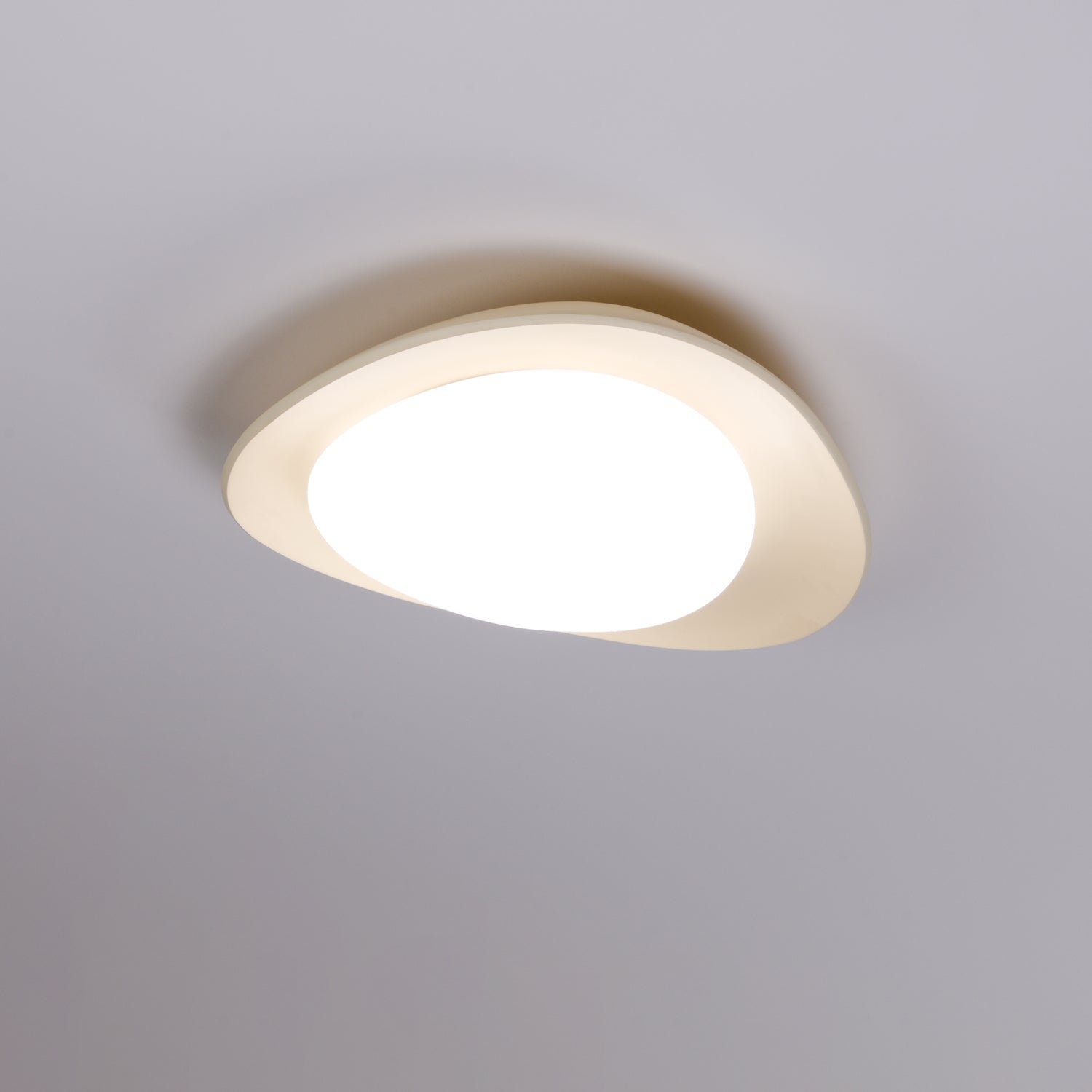 Leaf Ceiling Lamp