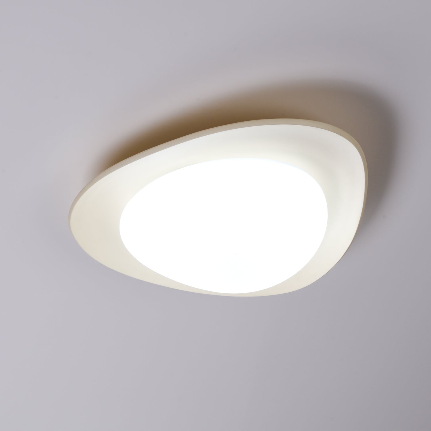 Leaf Ceiling Lamp