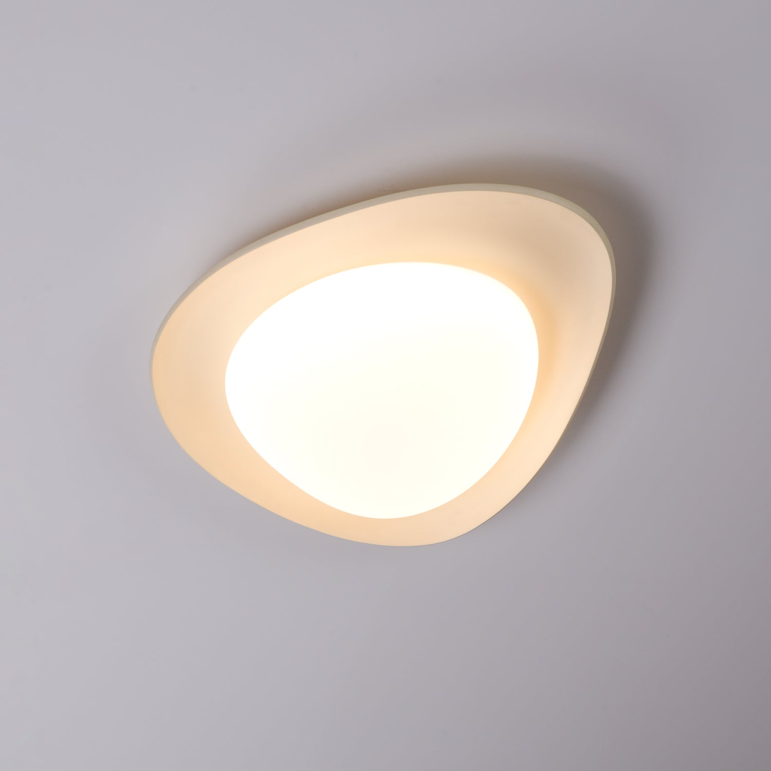 Leaf Ceiling Lamp