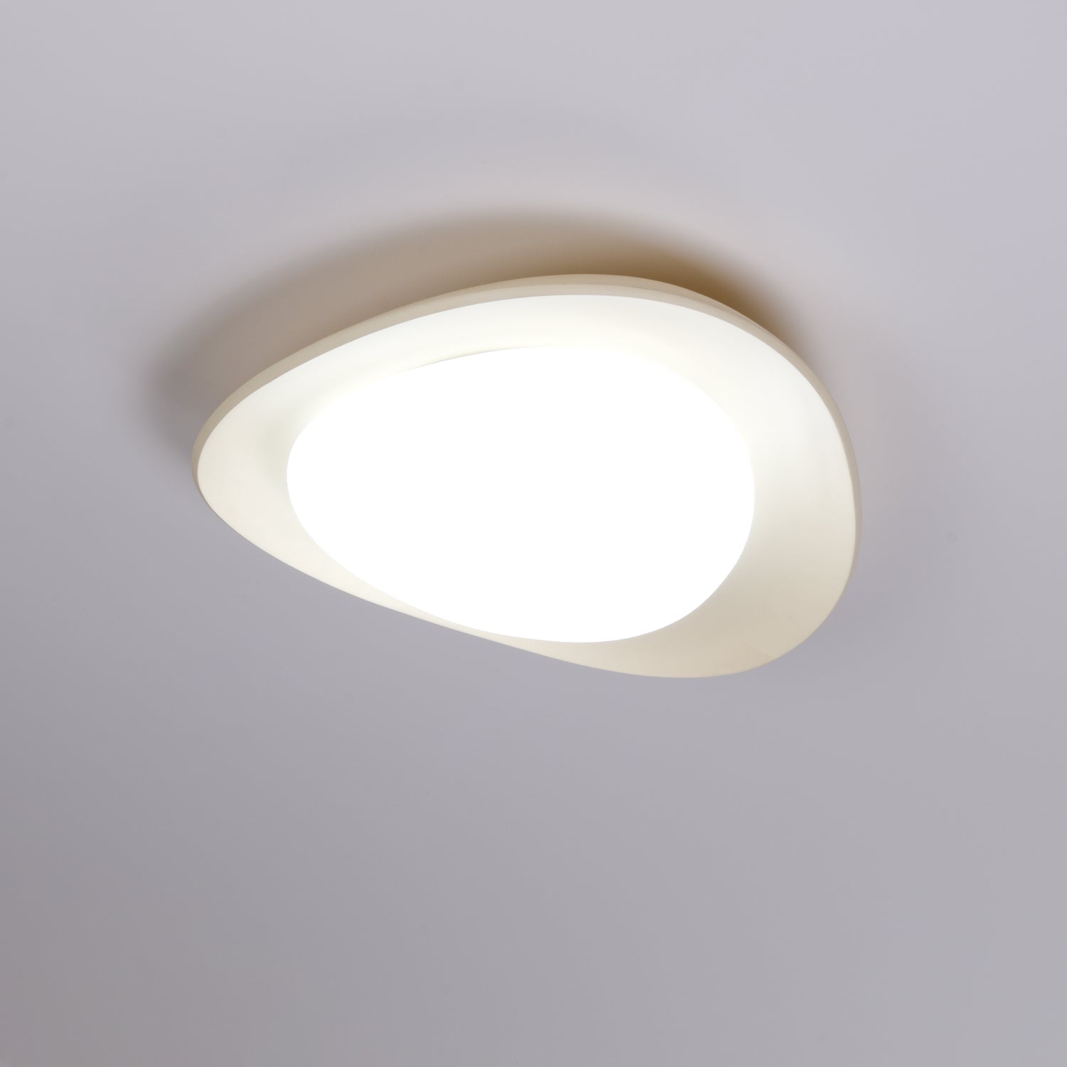 Leaf Ceiling Lamp