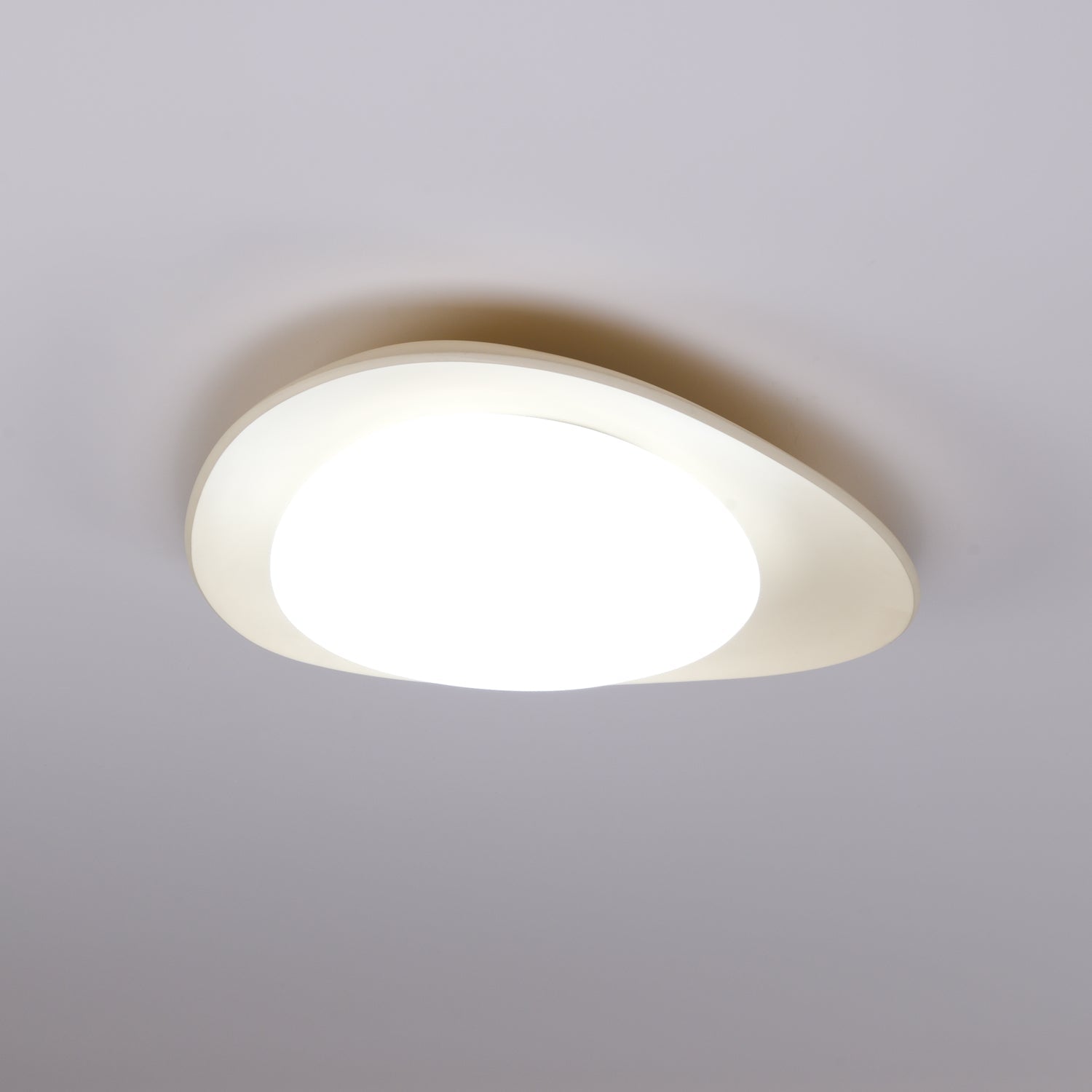 Leaf Ceiling Lamp