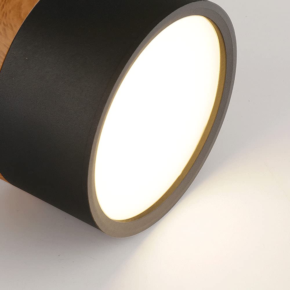 Small Cylinder Flush Mount Ceiling Light