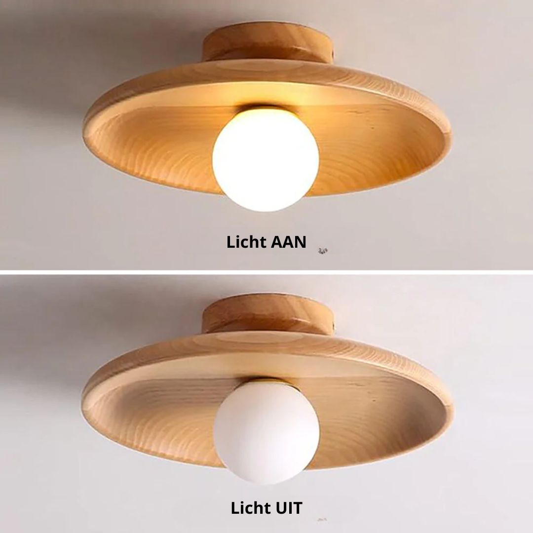 Circular Flush Mount Ceiling Light – Integrated LED Home Luminaire