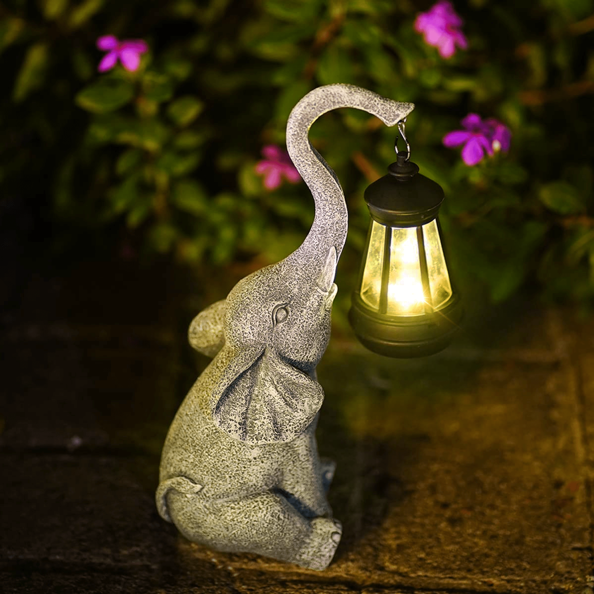Enchanting Solar Outdoor Lighting