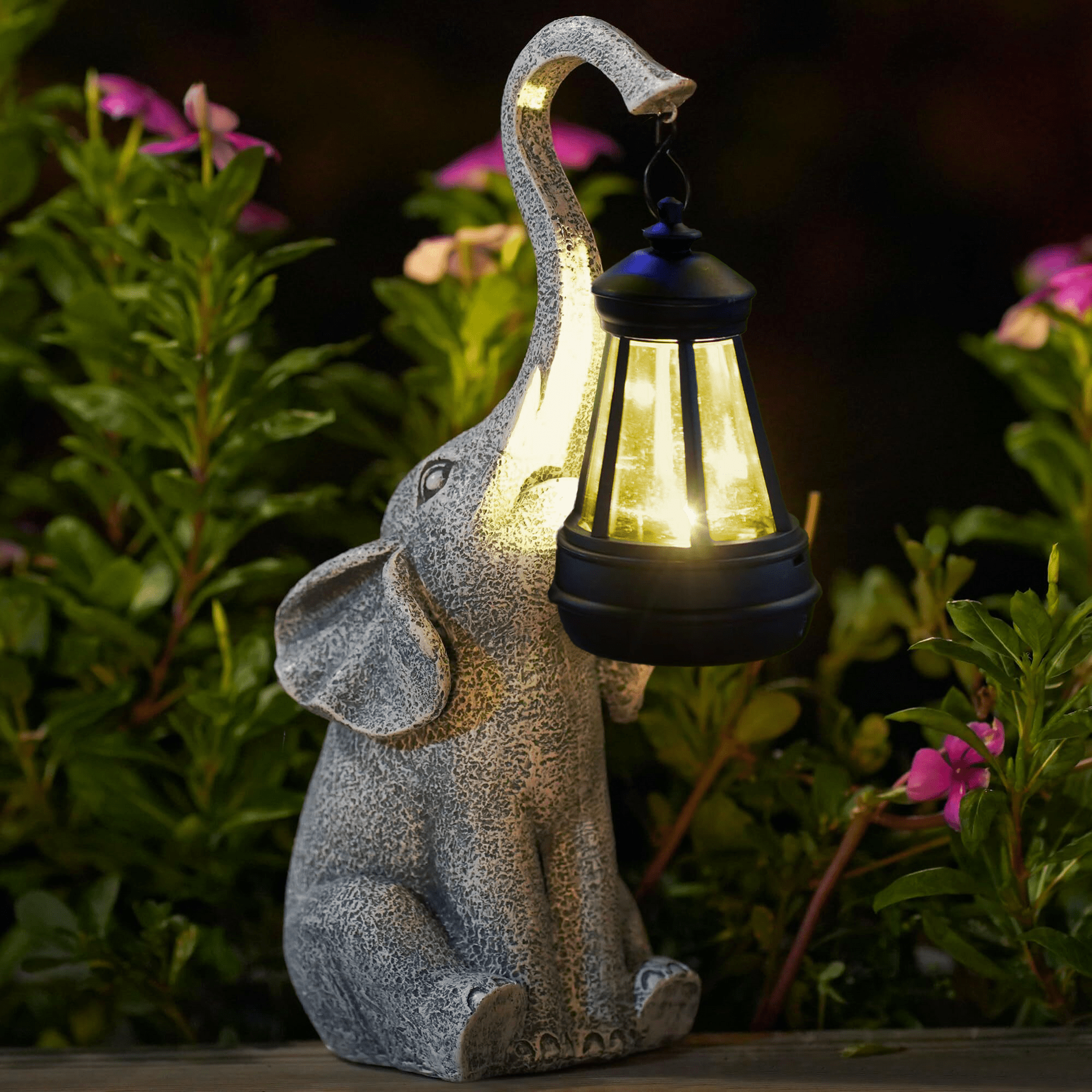 Enchanting Solar Outdoor Lighting
